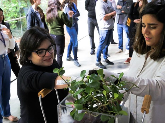 Treinamento sobre drenagem sustentável